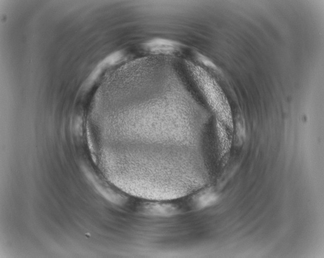 X0000085840379200704132110