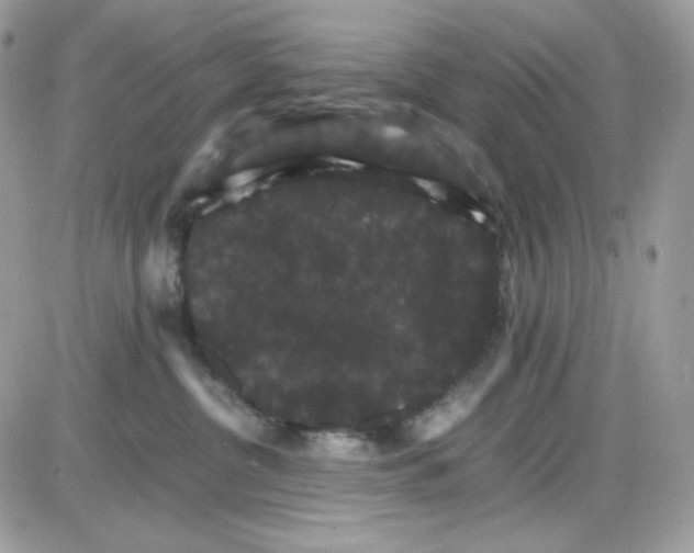 X0000085840380200704132110