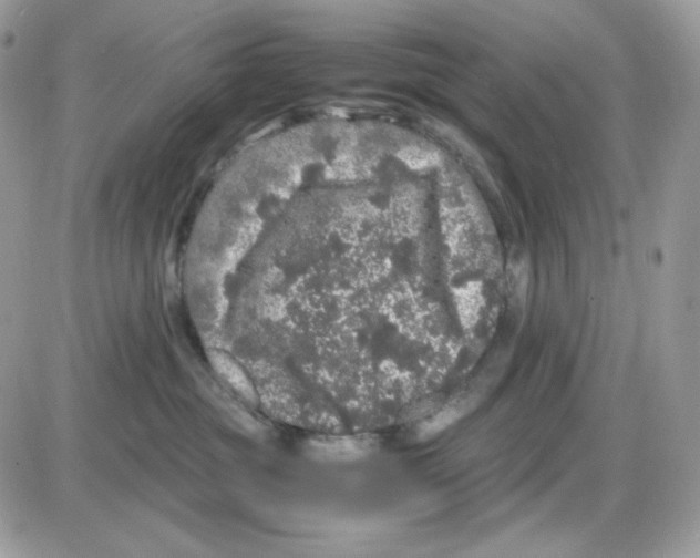 X0000085840381200704132110