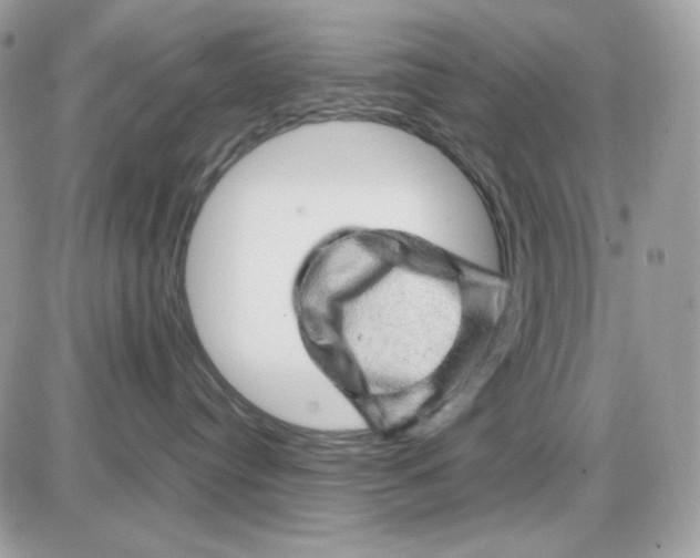 X0000085840384200704132110