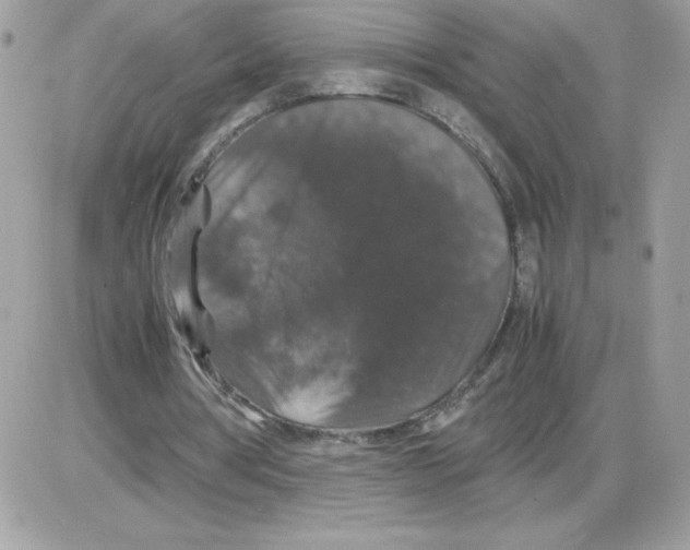 X0000085840386200704132109