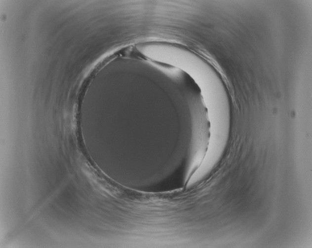 X0000085840387200704132109