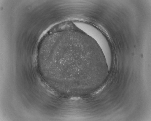 X0000085840388200704132109