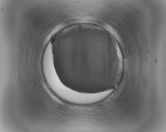 X0000085840389200704132109