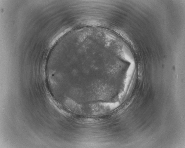 X0000085840390200704132109