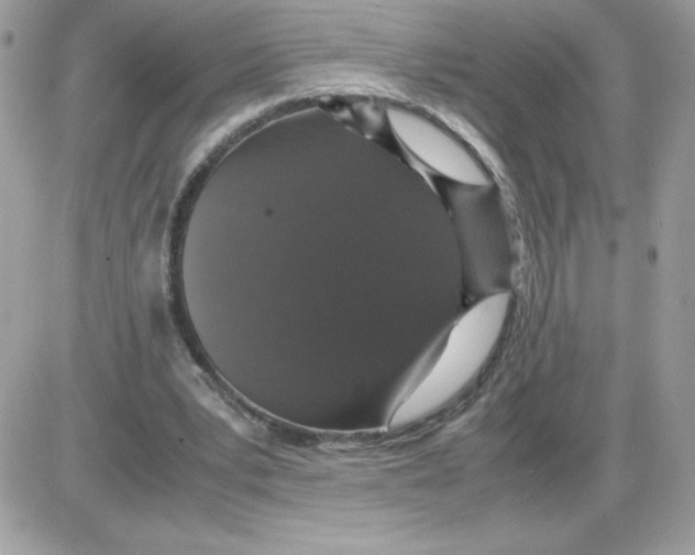 X0000085840391200704132109