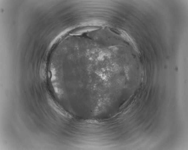 X0000085840392200704132109