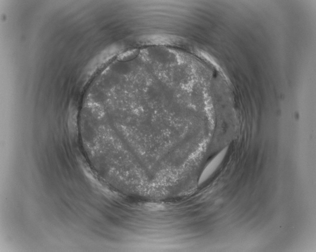 X0000085840394200704132109