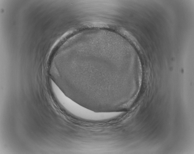 X0000085840395200704132109