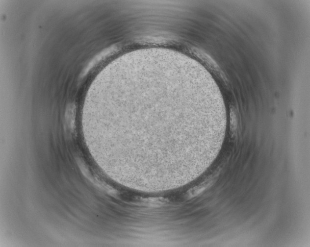 X0000085840396200704132109