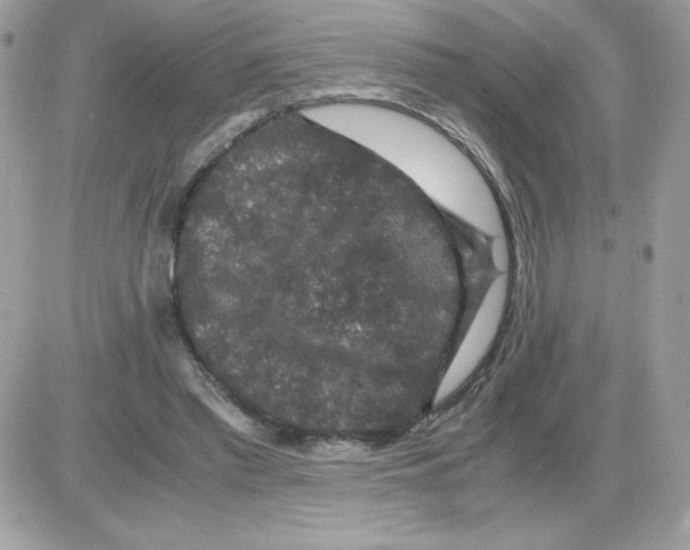 X0000085840397200704132109