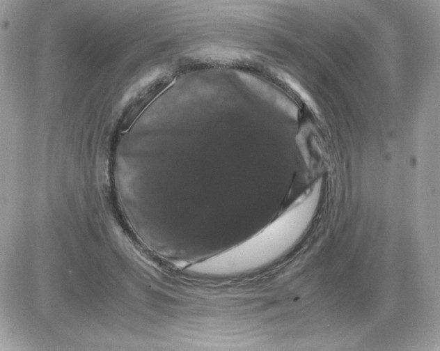 X0000085840399200704132109