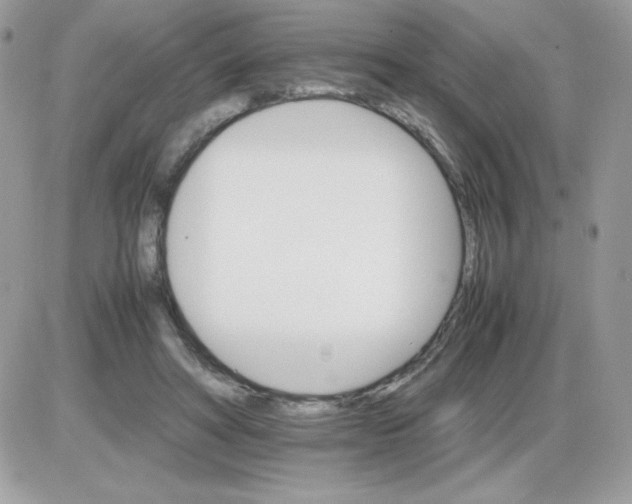 X0000085840402200704132109