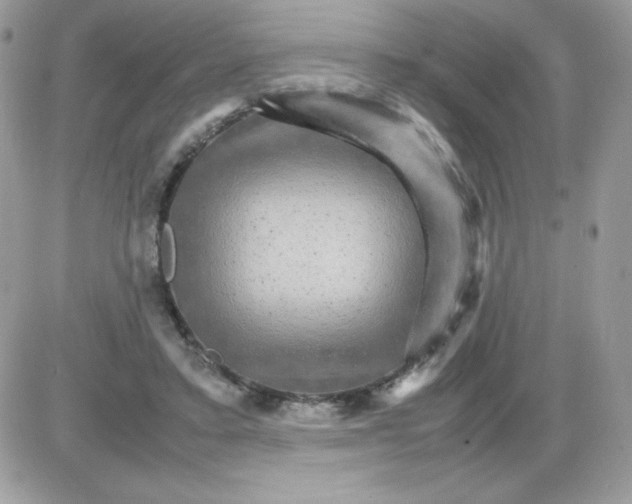 X0000085840403200704132109