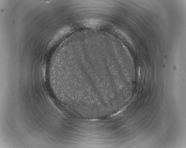 X0000085840404200704132108