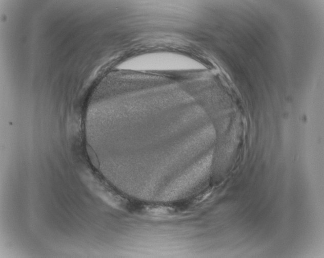 X0000085840407200704132108