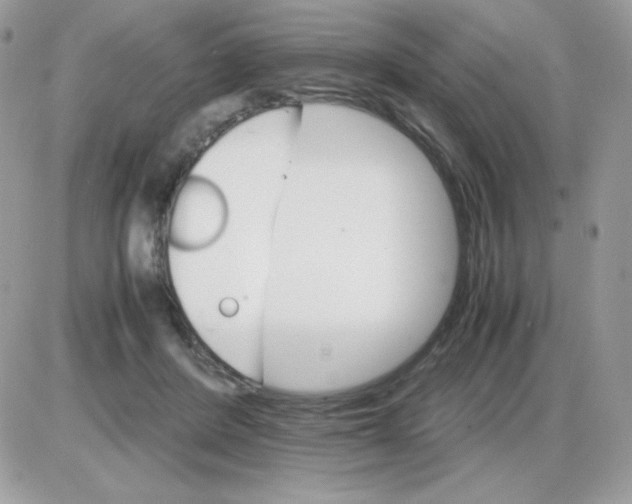 X0000085840408200704132108