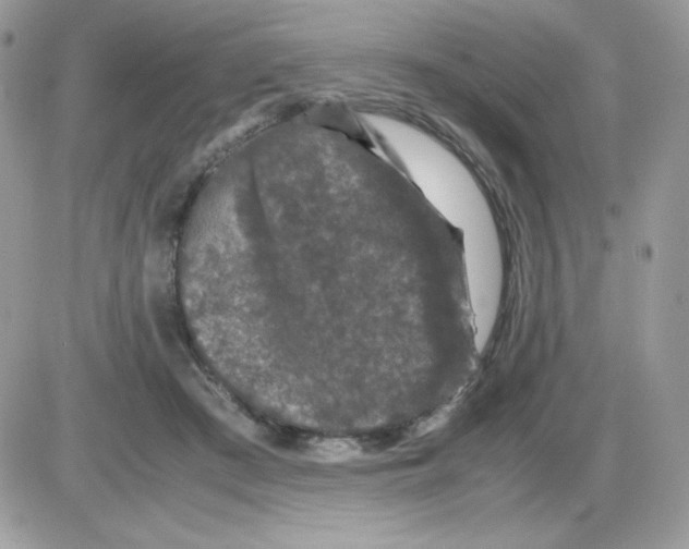 X0000085840409200704132108