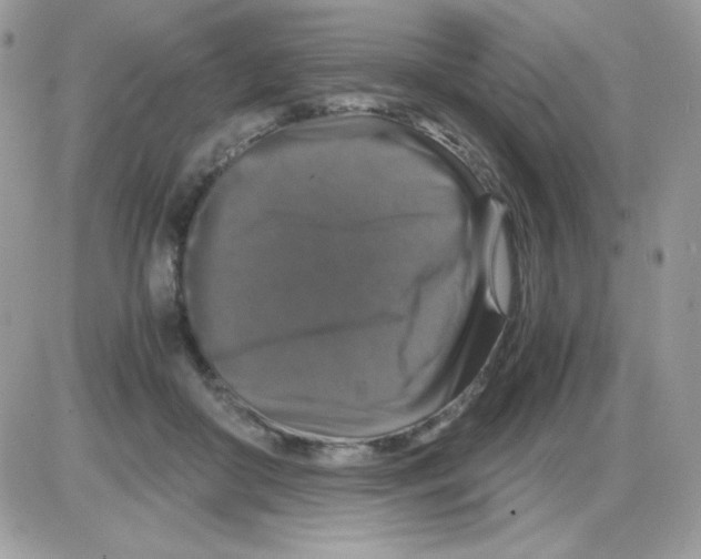 X0000085840410200704132108