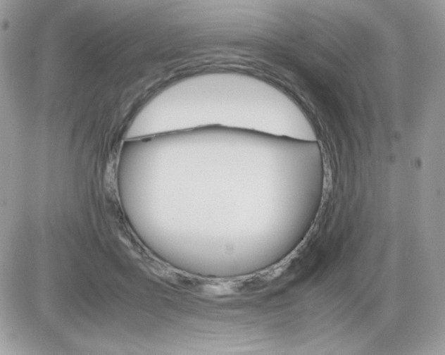 X0000085840411200704132108