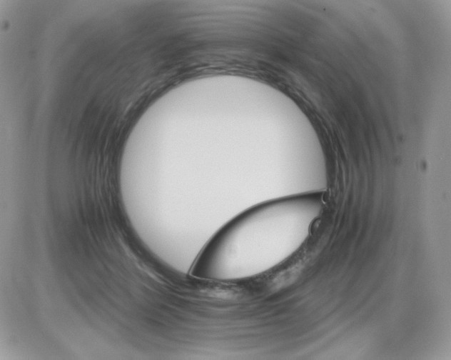 X0000085840412200704132108