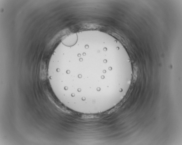 X0000085840414200704132108