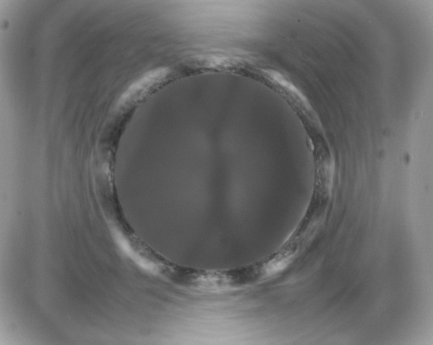 X0000085840415200704132108