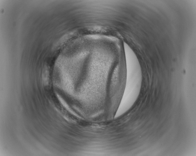 X0000085840416200704132108