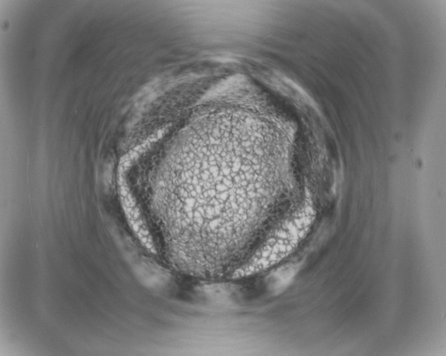 X0000085840417200704132108