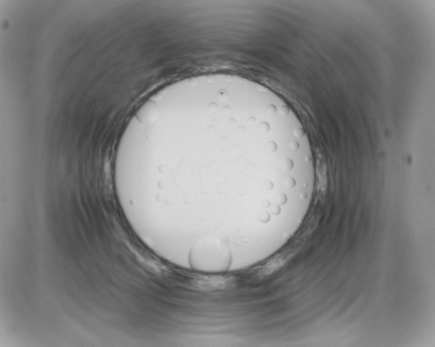 X0000085840418200704132108