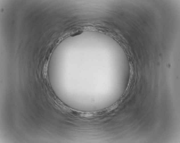 X0000085840419200704132108