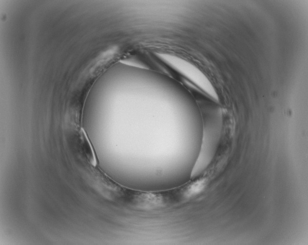 X0000085840421200704132108