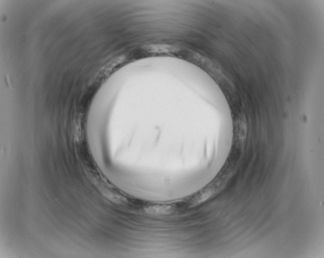 X0000085840422200704132108