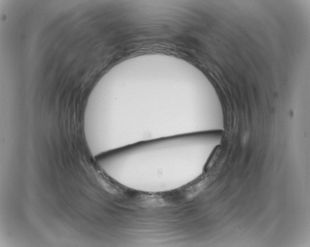 X0000085840424200704132108