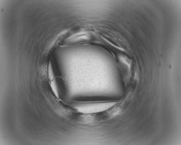 X0000085840425200704132108