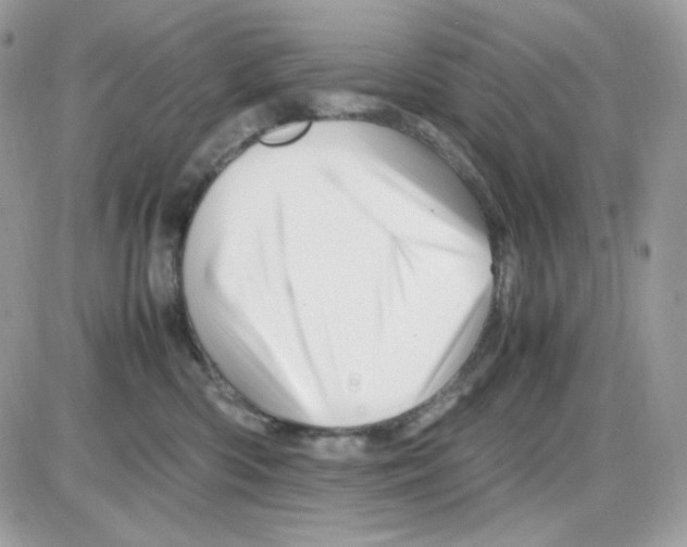 X0000085840426200704132108