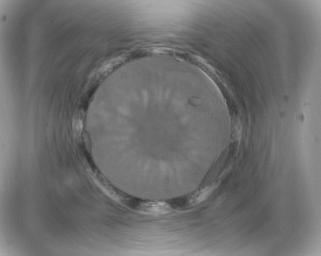 X0000085840427200704132108