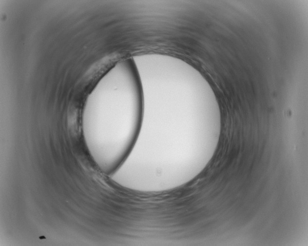 X0000085840428200704132108