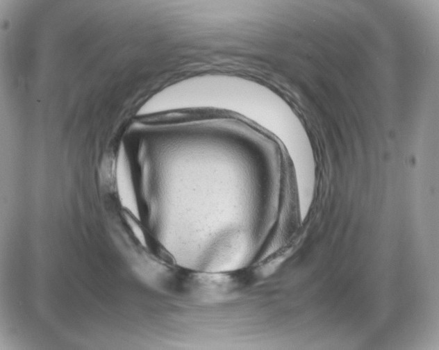 X0000085840429200704132108