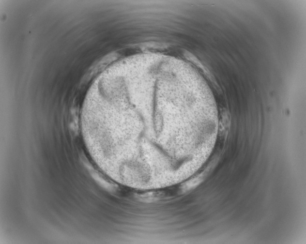 X0000085840430200704132108