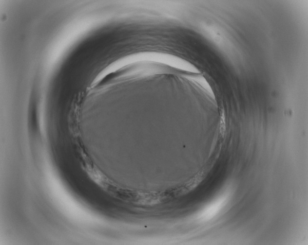 X0000085840431200704132108