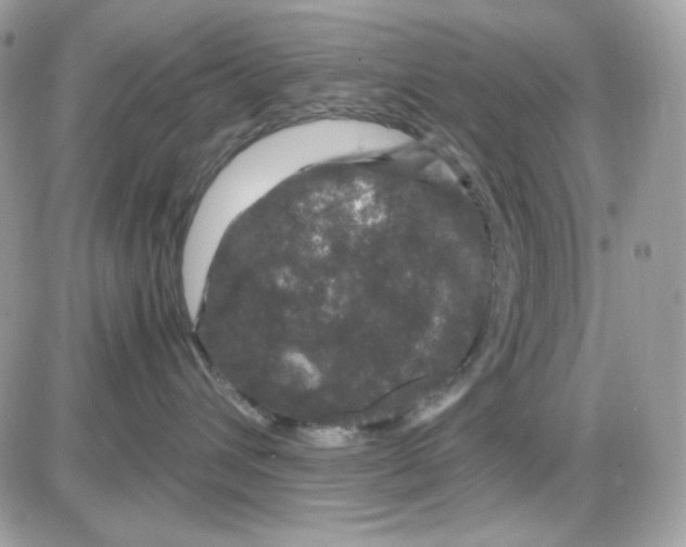 X0000085840432200704132108