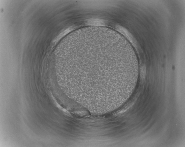 X0000085840433200704132107