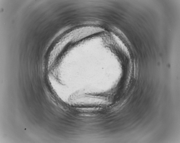 X0000085840435200704132107