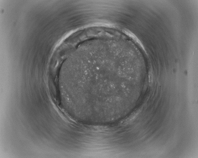 X0000085840436200704132107