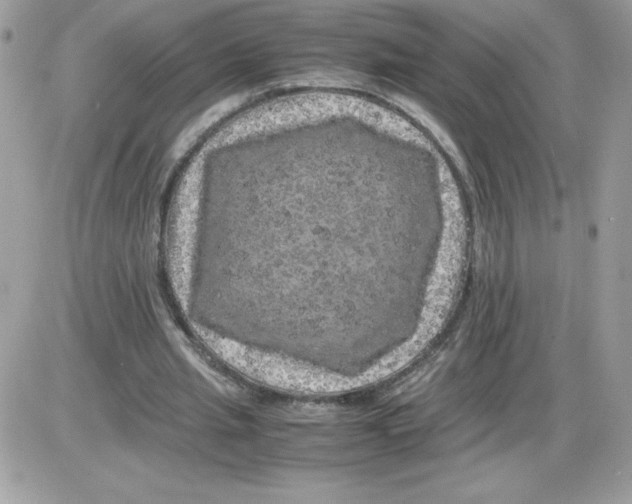 X0000085840437200704132107