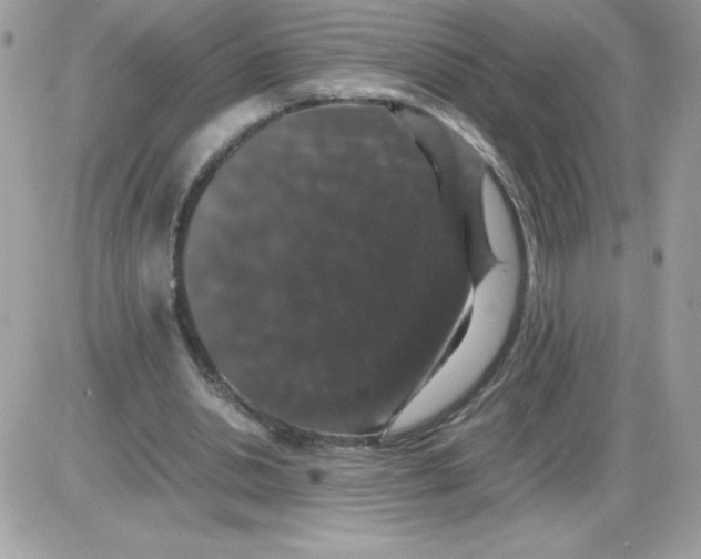 X0000085840438200704132107