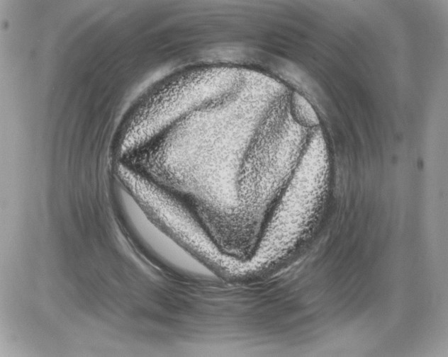 X0000085840439200704132107