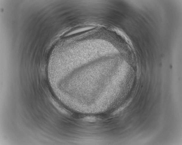 X0000085840441200704132107