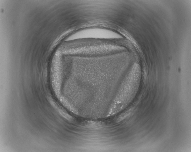 X0000085840442200704132107